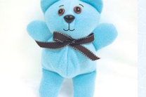 Plush Poly Bear