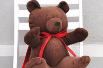 Plush Poly Bear