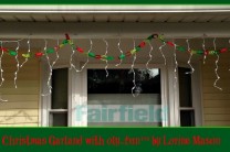 Christmas Garland with oly-fun™