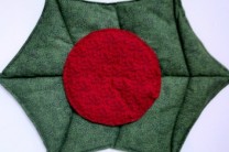 DIY Holly Leaf and Berry Trivets with Solarize