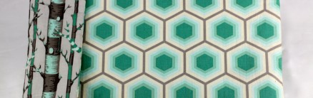 Padded Laptop Case