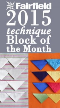 Block of the Month 3
