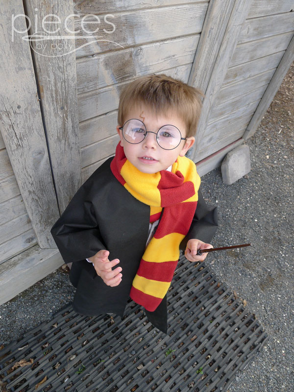 Harry Potter Robe