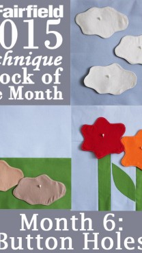 Block of the Month 6