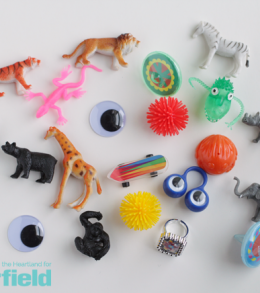 Toys-for-I-Spy-Bag