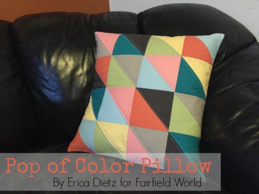Pop of Color Pillow