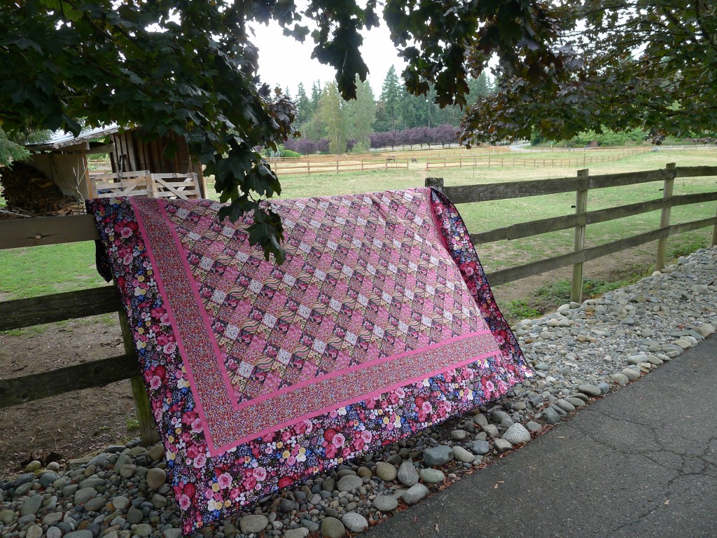 016 border quilt