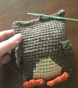 closing owl