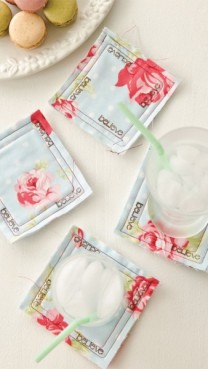 Scappy Coasters Stash Buster