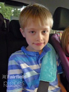 Seatbelt-Sleeve-(3)