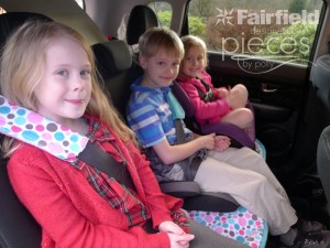 Seatbelt-Sleeve
