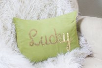 St. Patrick's Day Lucky Pillow