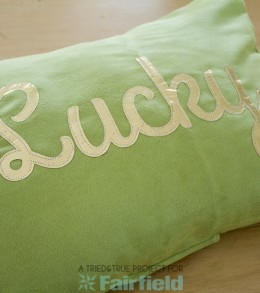 St-Patricks-Day-Lucky-Pillow-7
