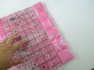 025-Weighted-Lap-Pad