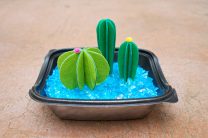 Mini Cactus Garden Made with Oly-Fun Fabric