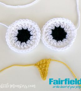 Owl Eyes And Beak