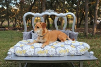 Fancy Pet Bed DIY
