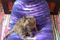 Boho Fleece Twisted Bean Bag Chair