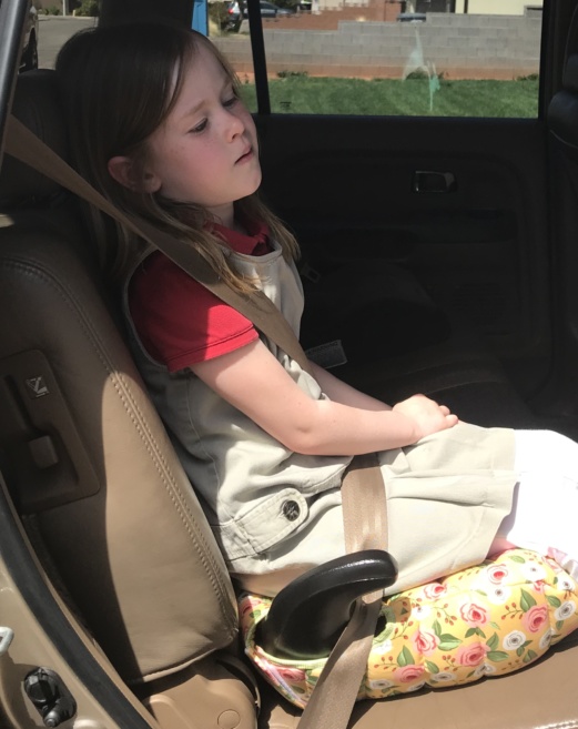 Booster Seat Cover