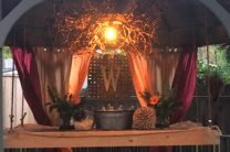How To: Wine Party with Oly-Fun Decor
