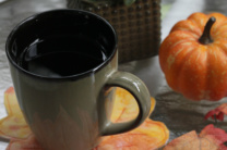 Falling Leaves Coasters