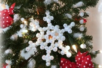 Snow Crystals