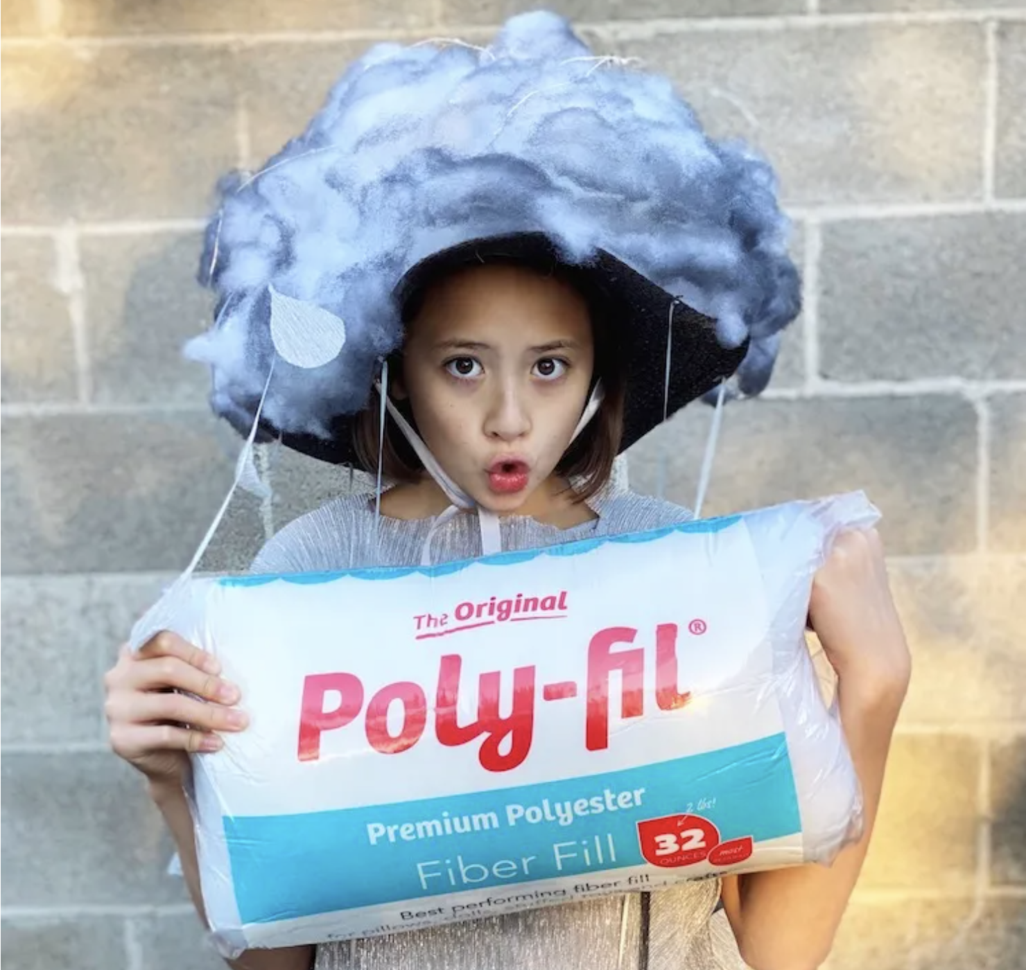 Fairfield The Original Poly-Fil, Premium Polyester Fiber Fill, Soft Pillow  Filler, Stuffing for Stuffed Animals, Toys, Cloud Decorations, and More