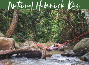 national hammock day July 22