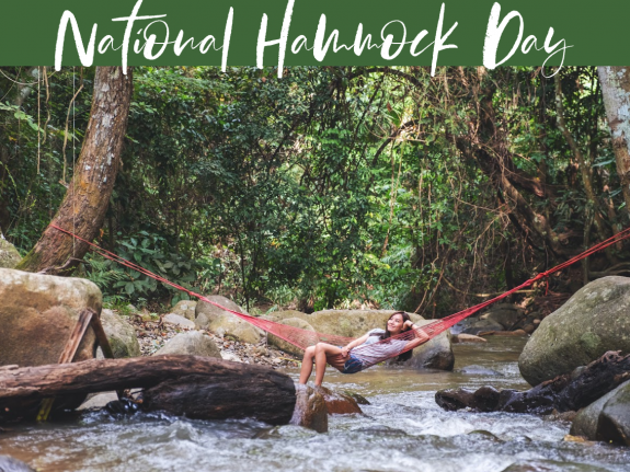 national hammock day July 22