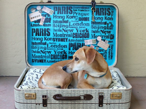 upcycling suitcase