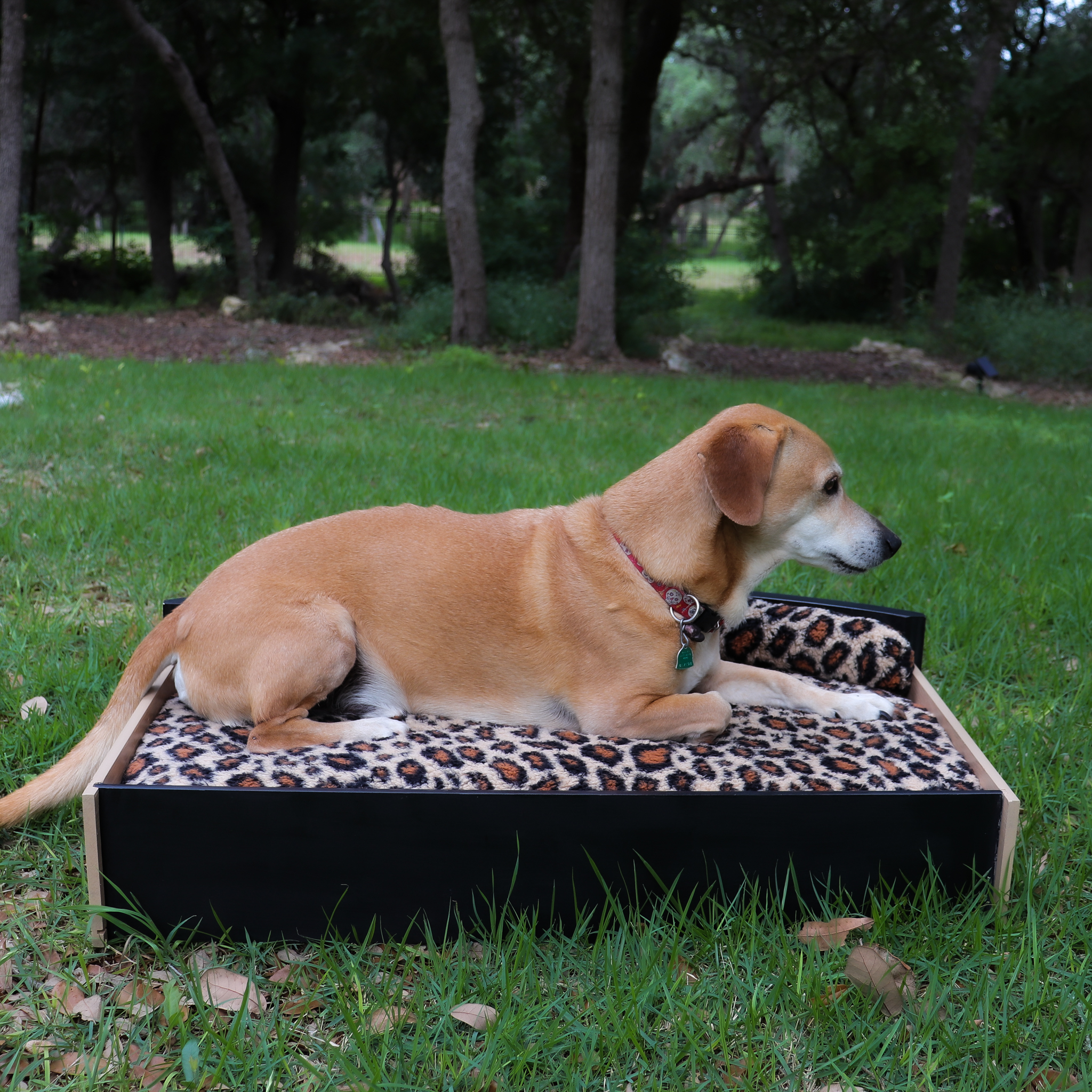 dog bed made from dresser drawer