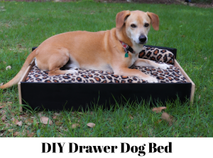 drawer into dog bed
