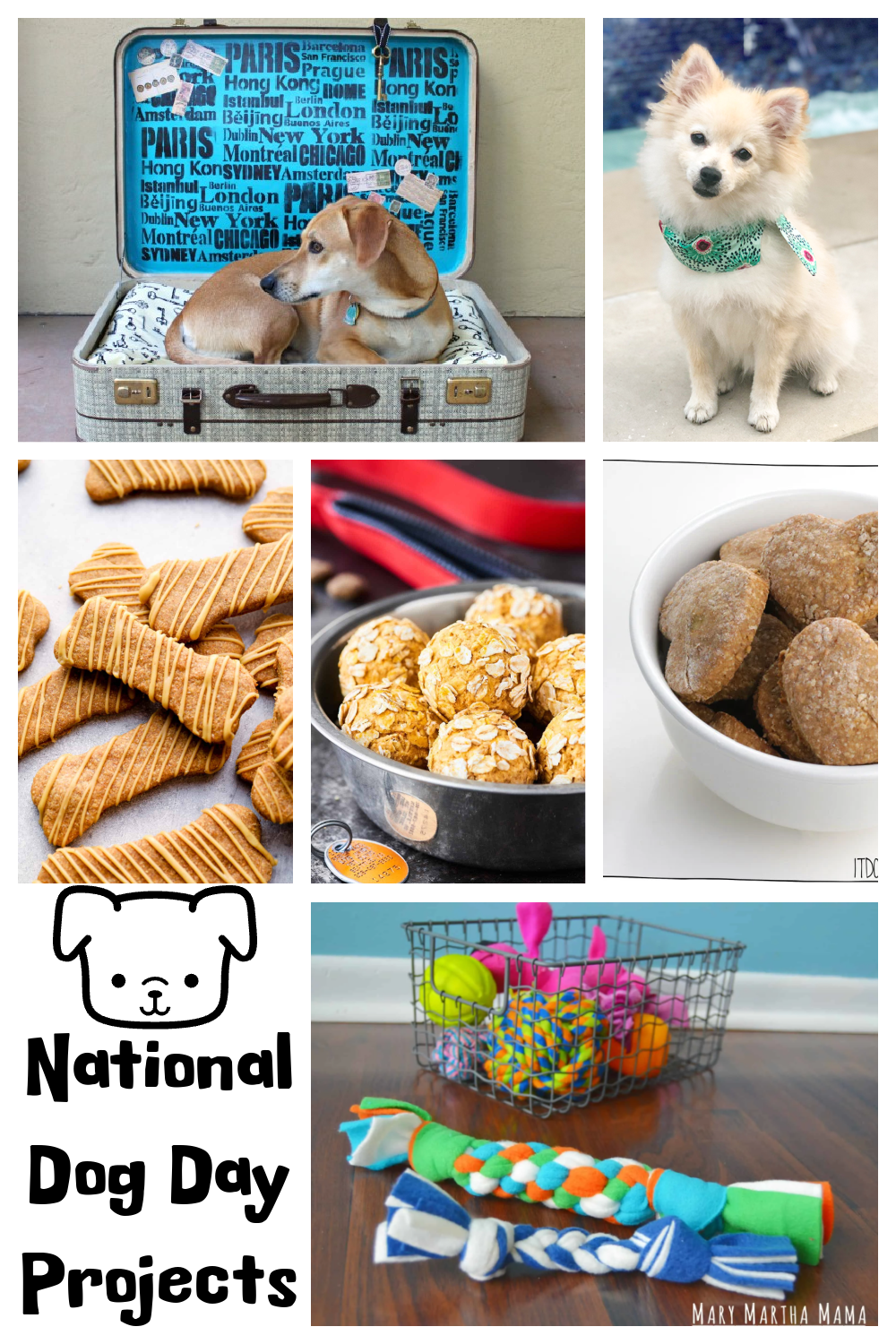 how to celebrate national dog day