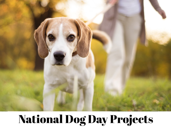 celebrate national dog day