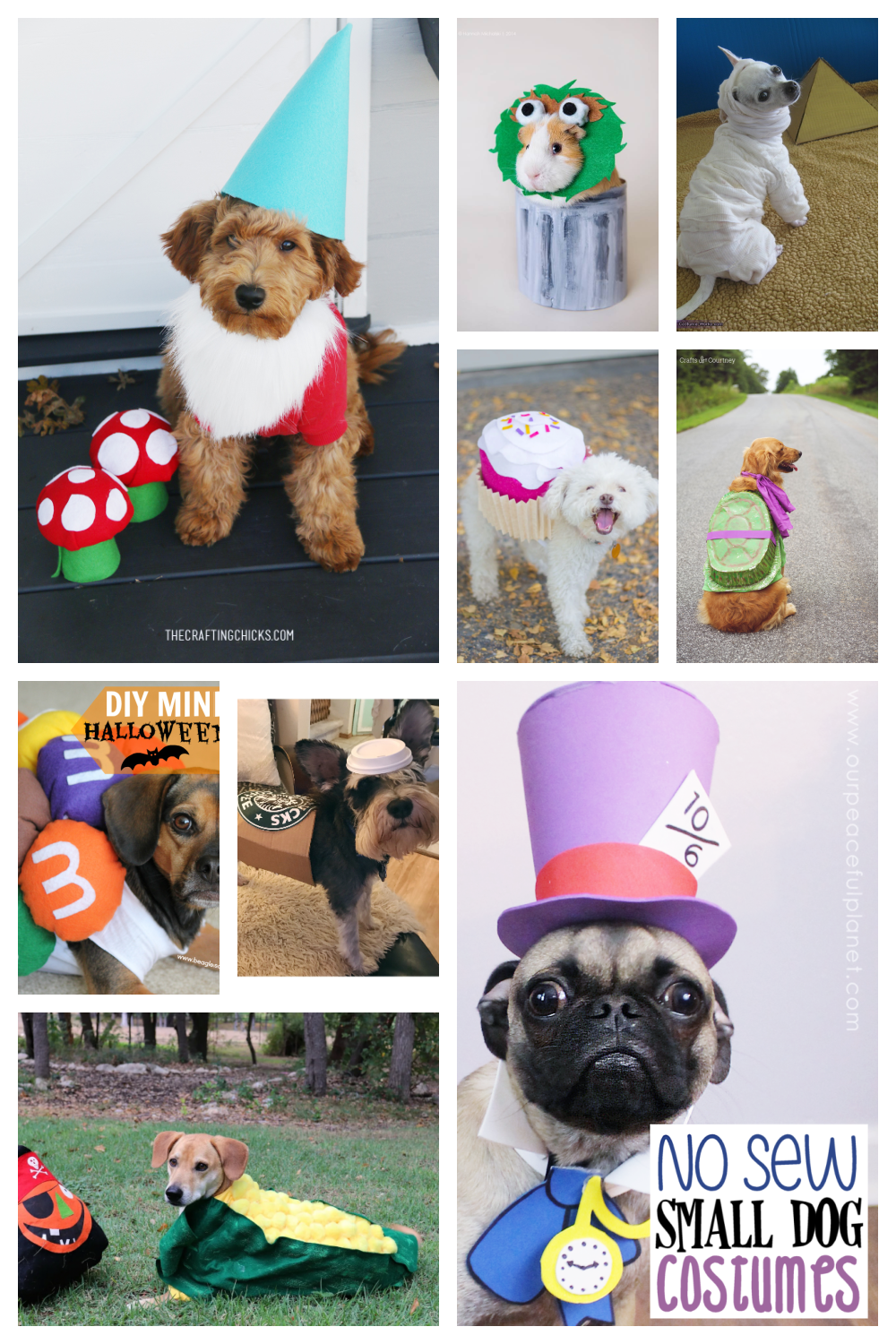 DIY Mini M&Ms Halloween Costume for Dogs