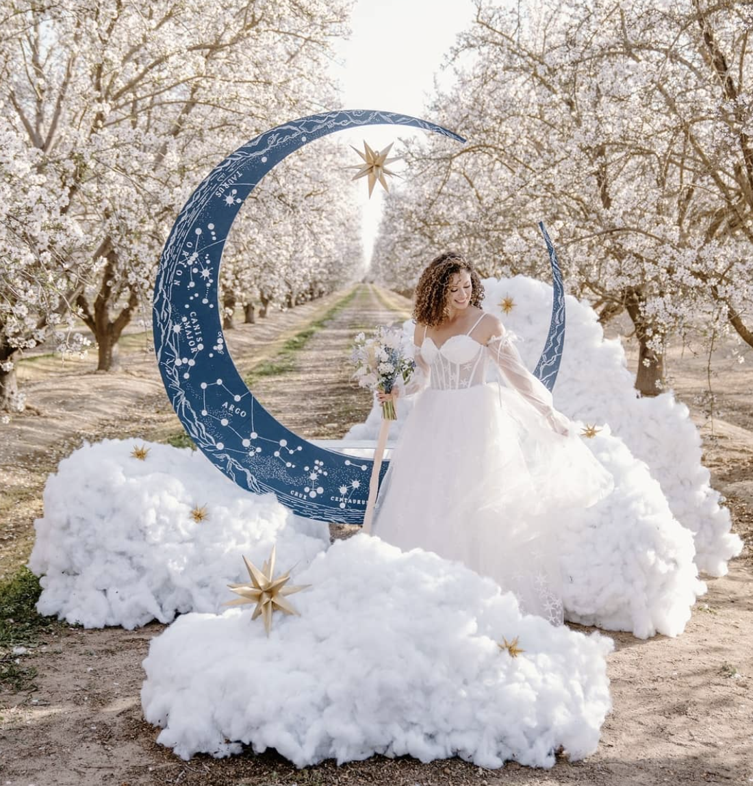 celestial photo booth for wedding
