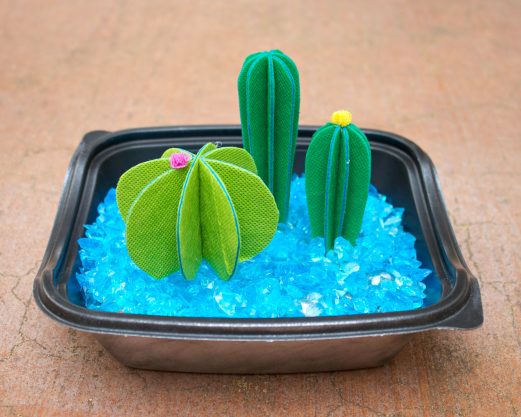 oly-fun cactus DIY