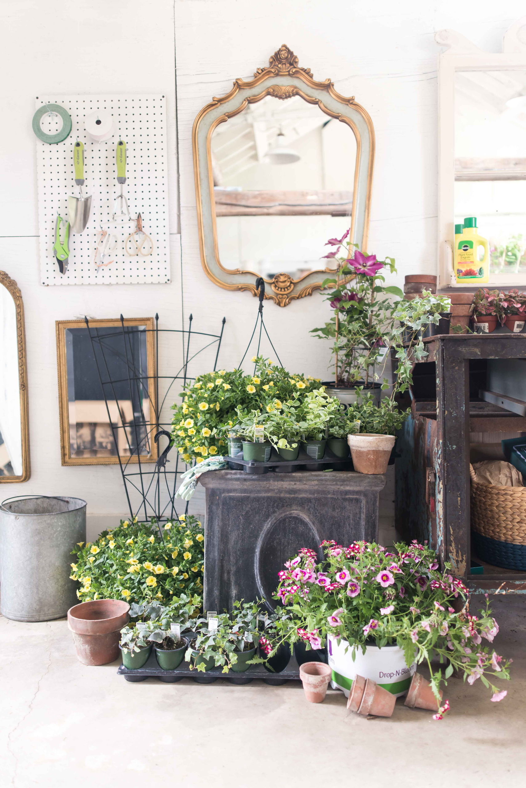 summer indoor garden