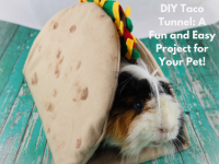 DIY pet taco tunnel