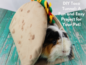 DIY pet taco tunnel