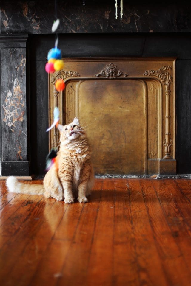 DIY cat toys to sew