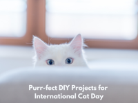 Purr-fect DIY Projects for International Cat Day