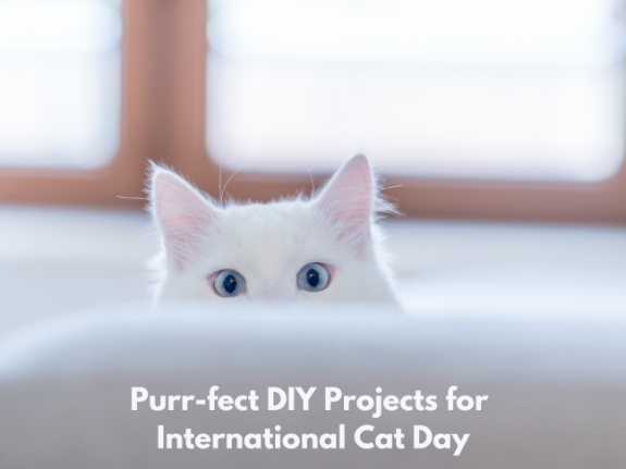 Purr-fect DIY Projects for International Cat Day