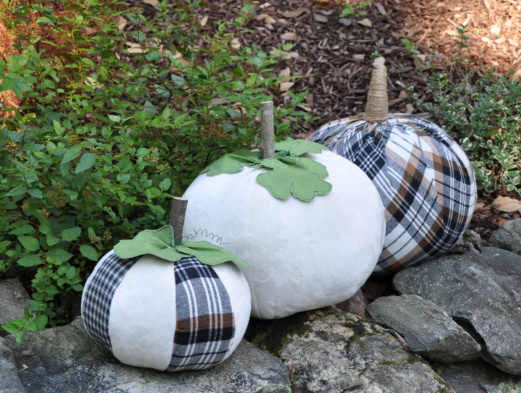recycle shirt pumpkins fall
