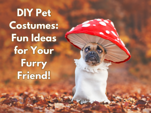 DIY Pet Costumes for furry friends halloween