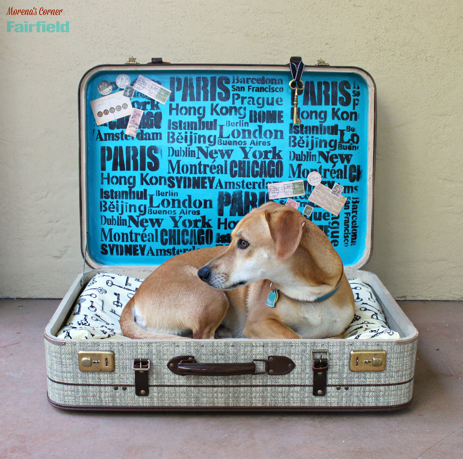 DIY pet bed