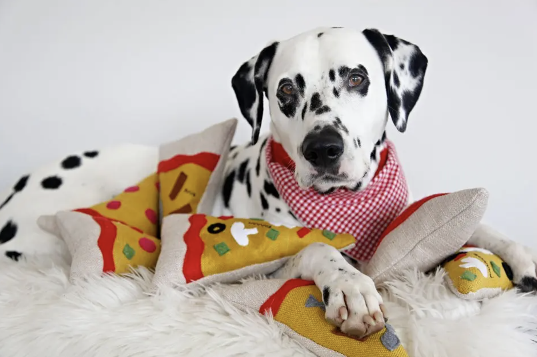 diy dog toy