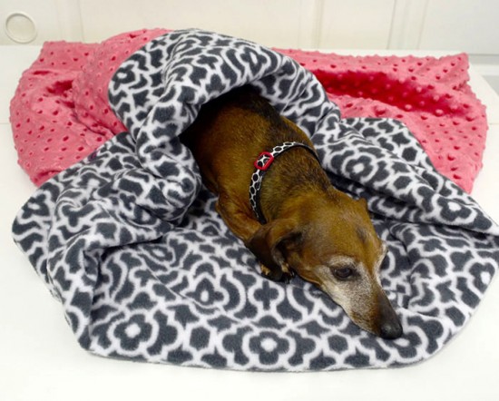 diy dog blanket