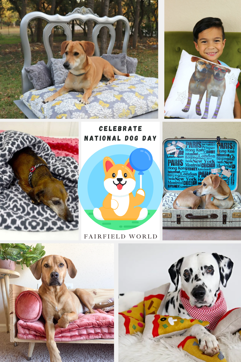 celebrate national dog day