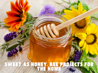 Sweet as Honey: Bee Projects for the Home